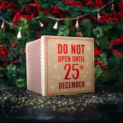 Do Not Open Christmas Gift Box
